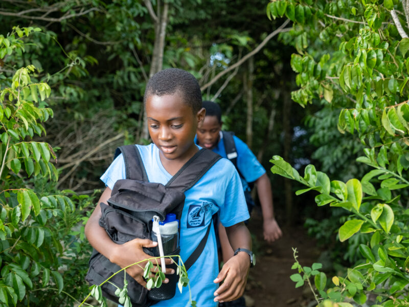 Healthy Schools & Communities